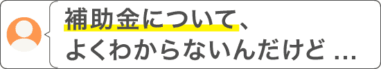 お問い合わせ例（補助金について）